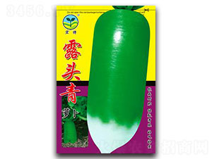 ¶�^��-�}���N��-����