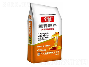 ��������Ч�;�ጷ���26-6-8-׿��