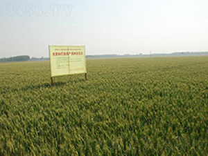 ����99-С���N��-���ǷN�I(y��)