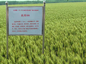 ����66-С���N��-���ǷN�I(y��)