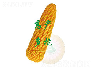 ����18-���׷N��-ԣ�S�N�I(y��)