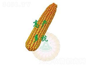 ����24-���׷N��-ԣ�S�N�I(y��)