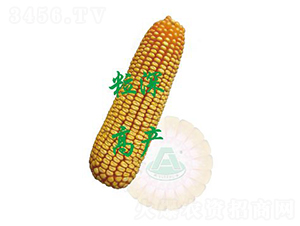 ����34-���׷N��-ԣ�S�N�I(y��)