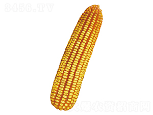 ԣ�S102-���׷N��-ԣ�S�N�I(y��)