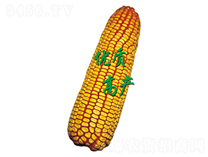 ԣ�S306-���׷N��-ԣ�S�N�I(y��)