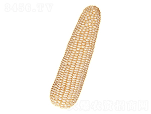 ����6-���׷N��-ԣ�S�N�I(y��)