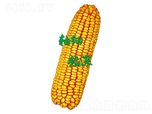 ԣ�S621-���׷N��-ԣ�S�N�I(y��)