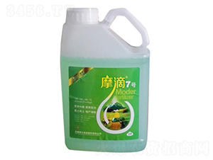 Ħ��7̖-ħ��Һ��