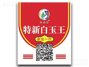 ���°�����-�}���N��-���^�B