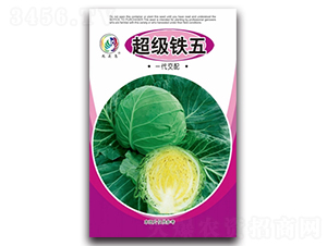 超級鐵五-甘藍(lán)種子-九頭鳥