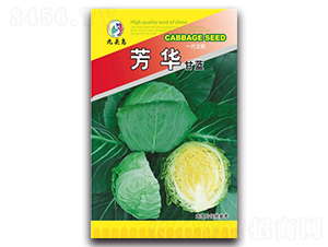 芳華甘藍-甘藍種子-九頭鳥