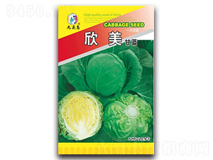 欣美甘藍(lán)-甘藍(lán)種子-九頭鳥