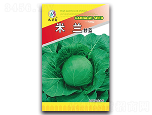 米蘭甘藍(lán)-甘藍(lán)種子-九頭鳥