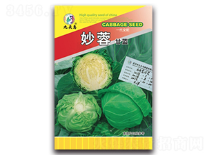妙蓉甘藍(lán)-甘藍(lán)種子-九頭鳥