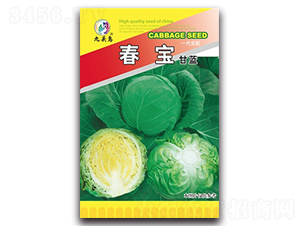 春寶甘藍(lán)-甘藍(lán)種子-九頭鳥