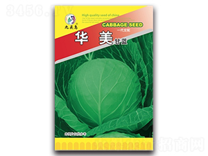 華美甘藍-甘藍種子-九頭鳥