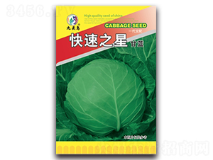 ����֮�Ǹ��{(l��n)-���{(l��n)�N��-���^�B