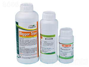 植物提取物壯果型-穎達(dá)-費(fèi)爾諾