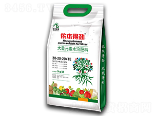 ����Ԫ��ˮ�ܷ���20-20-20+TE-�z���Ä�-�z���r(n��ng)�I(y��)