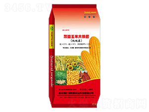 ������������״����-�t�հ���