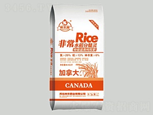 非常水稻分蘗靈-神農(nóng)雨-神農(nóng)農(nóng)業(yè)