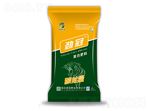 ��(f��)�Ϸ���17-20-5-̼����-�Ź�