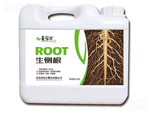 ����(c��)��-���׹�-���o(j��)�S