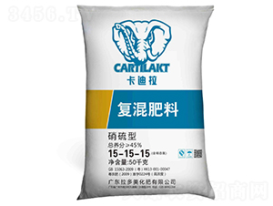 �����͏�(f��)�����15-15-15-������-������