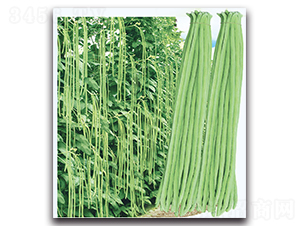 ���Ѷ���-���ǷN��-�F(xi��n)������