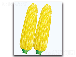 �A����1̖����-�����׷N��-�F(xi��n)������