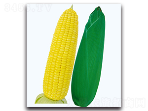 ���S6̖����-�����׷N��-�F(xi��n)������