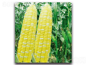 �A����8̖���y������-�����׷N��-�F(xi��n)������