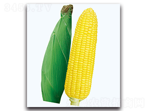 �A����2̖����-�����׷N��-�F(xi��n)������