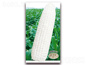 �fŴ908-Ŵ���׷N��-�A��N�I(y��)