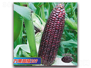 �f����Ŵ209-Ŵ���׷N��-�A��N�I(y��)