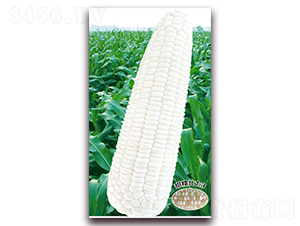 �fŴ188-Ŵ���׷N��-�A��N�I(y��)