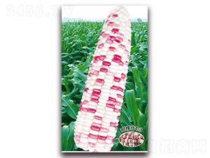 �f����Ŵ118-Ŵ���׷N��-�A��N�I(y��)