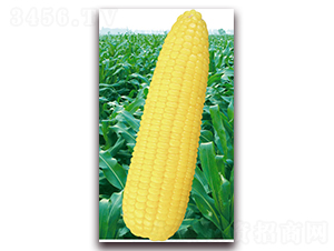 �fŴ��̖-Ŵ���׷N��-�A��N�I(y��)