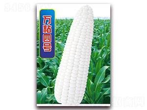 �fճ��̖-Ŵ���׷N��-�A��N�I(y��)