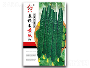 �������S��-�S�ϷN��-���ܷN�I(y��)