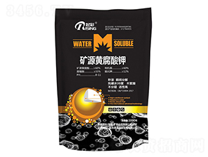 1000g�VԴ�S�����-���-Ӣ��