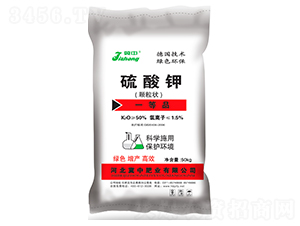 ����⛣��w���-���зʘI(y��)