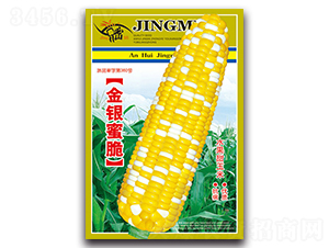 ���y�۴�-�����׷N��-���ܷN�I(y��)