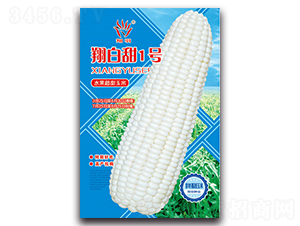 �����1̖-�����׷N��-���ܷN�I(y��)