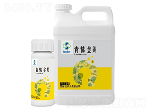 ��㺽���-������