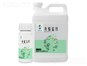 ����{(l��n)ͮ-������