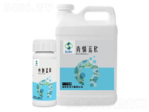 ����{(l��n)��-������(l��)