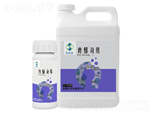 ����澉-������