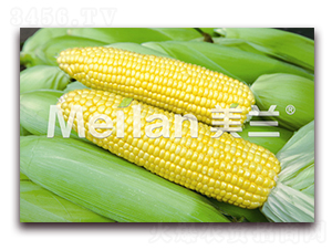 ������007̖-�����׷N��-�G��