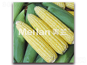 ������002-�����׷N��-�G��